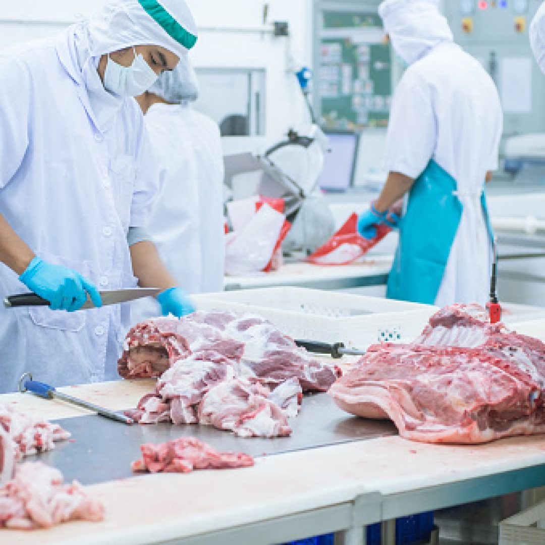 Cutting Meat Slaughterhouse Workers In The Refrigerator for Global – Australia